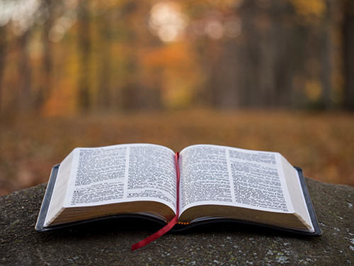 The Word of God 