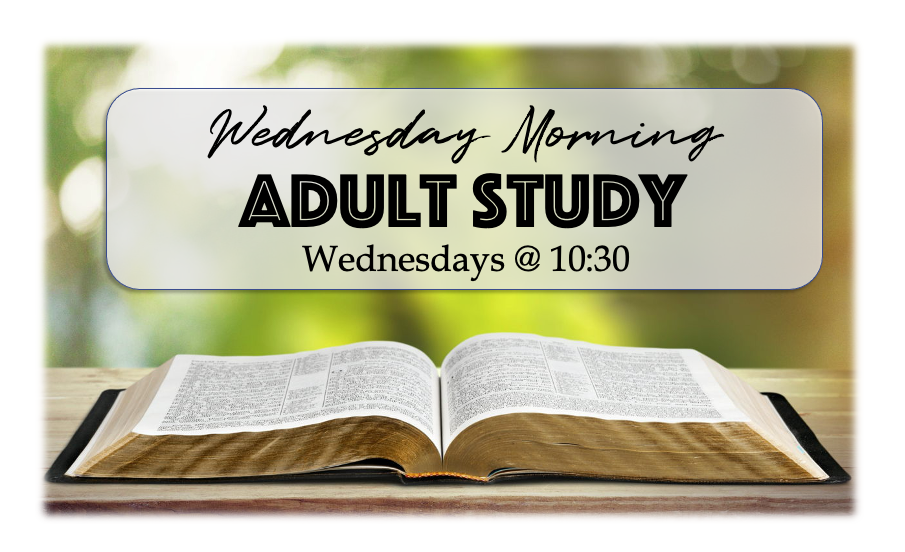 Morning bible study